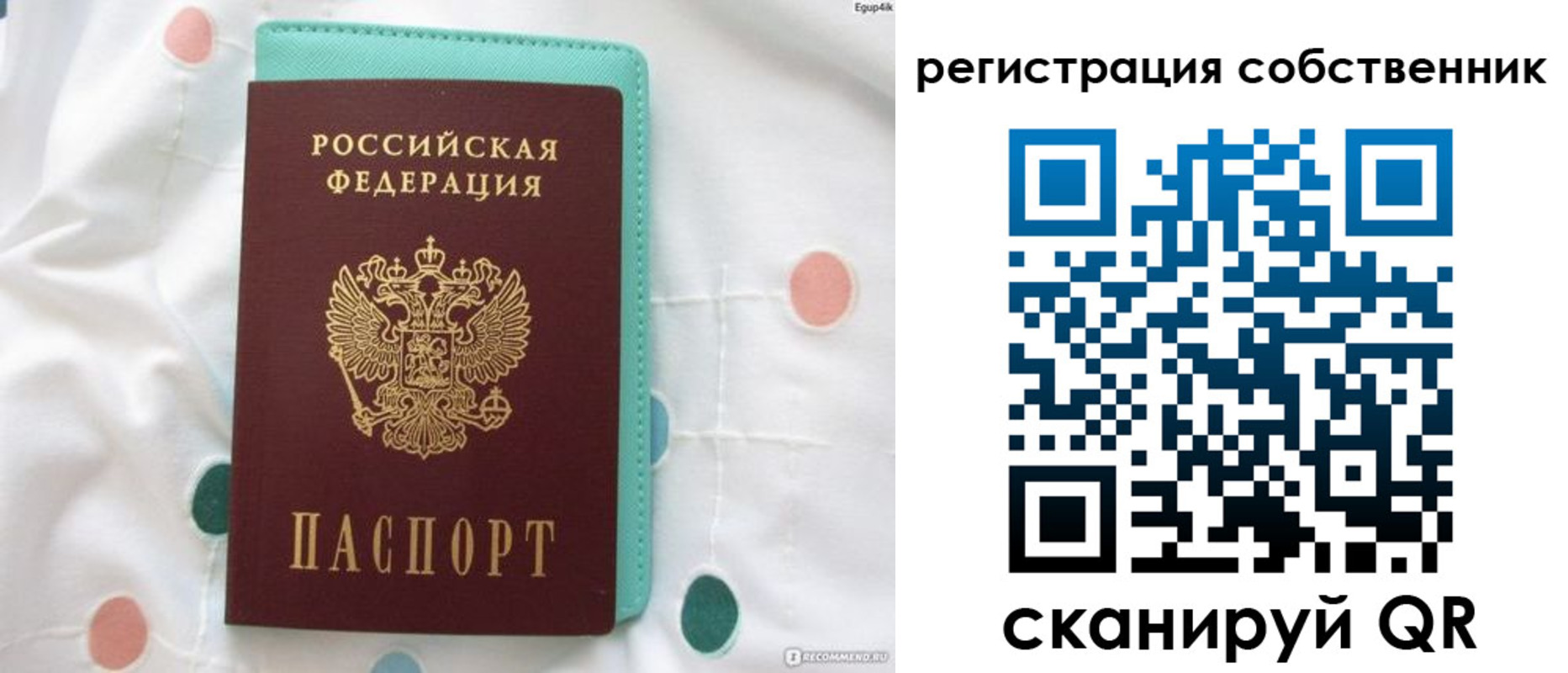 прописка для школы в Балашове
